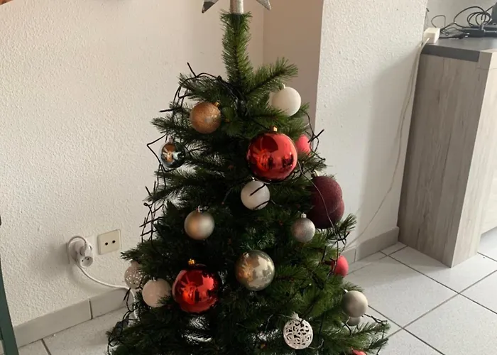 Appartement Centre Ville Luz Saint Sauveur T4 Pour 10 Personnes
